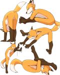  2018 5:4 animal_genitalia anthro balls barefoot butt canine fox fully_sheathed male mammal manmosu_marimo nude penis senior_fox sheath simple_background solo standing stretching white_background 