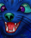  animated blue_fur canine dog feral fur mammal slw smile whiskers wishkers 