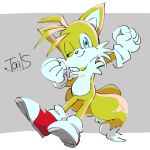  anthro canine clothing english_text fox gloves male mammal miles_prower solo sonic_(series) text video_games おみや 