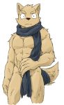  abs anthro athletic biped black_eyes black_nose brown_fur canine convenient_censorship dog eyebrows frown fur head_tuft looking_at_viewer male mammal mostly_nude pubes royalsobatya scarf simple_background solo standing stare thick_eyebrows white_background 