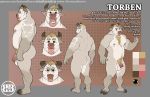  2017 5_fingers anthro balls biceps blonde_hair body_hair bovine bruteandbrawn butt cattle chest_hair cloven_hooves english_text flaccid hair hooves horn humanoid_penis male mammal model_sheet multiple_poses muscular muscular_male nipples nude pecs penis pose pubes solo standing tattoo text torben uncut url 