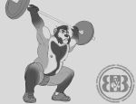  2017 5_fingers anthro asher_(bruteandbrawn) barbell bear bruteandbrawn bulge clothed clothing crouching exercise facial_hair footwear grey_background greyscale male mammal monochrome muscular muscular_male navel nipples open_mouth pecs shoes sideburns simple_background solo topless weightlifting weights workout 