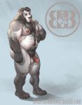  2017 4_toes 5_fingers anthro arm_hair asher_(bruteandbrawn) balls bear black_hair black_nose body_hair bruteandbrawn chest_hair flaccid hair humanoid_penis male mammal muscular muscular_male nipples nude pecs penis plantigrade pubes sidebrusn simple_background solo standing stomach_hair toes url 