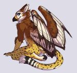  2018 anthro avian beak black_beak blue_eyes digital_media_(artwork) feathered_wings feathers fur gryphon lukiri male nude smile solo spots spotted_fur wings 