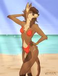  2018 anthro beach bikini breasts canine clothed clothing digital_media_(artwork) eyewear female mammal mane maned_wolf outside partially_clothed piercing pinup pose psalm seaside small_breasts sunglasses swimsuit wolfpsalm 