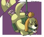  anal animal_crossing anus bdsm bondage bound breasts canine cum cum_in_ass cum_in_mouth cum_in_pussy cum_inside enroshiva female gag isabelle_(animal_crossing) mammal nintendo oral paws ring_gag suspension video_games 