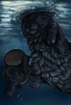  2015 black_fur black_nose canine cephalopod day detailed_background digital_media_(artwork) duo feral fur mammal marine octopus outside partially_submerged purple_eyes shwonky 
