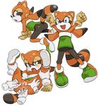  marine_the_raccoon sonic_team tagme 