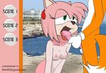  amy_rose bbmbbf sonic_team tagme tails 