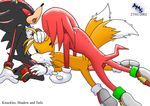  knuckles_the_echidna shadow_the_hedgehog sonic_team tagme tails 