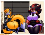  absurd_res anthro big_breasts big_butt breasts butt canine clothing crossgender dreamcastzx1 duo edit female fox hedgehog hi_res huge_breasts huge_butt mammal miles_prower shadow_the_hedgehog sonic_(series) tight_clothing video_games 