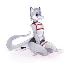  2018 ambiguous_gender anthro black_claws black_pawpads blue_eyes blue_fur chest_harness chest_tuft claws clothing collar cute_fangs dragon fur furred_dragon girly grey_fur grey_tail kneeling little_krey_draws pawpads paws petplay roleplay senky shorts solo submissive tuft white_belly white_fur 