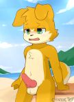  animal_genitalia animal_penis anthro balls beach blush canine canine_penis child cloud cub cynxie_(artist) dog erection green_pupils knot male mammal nude open_mouth penis precum scar seaside sky solo standing water young 