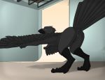  animal_genitalia anthro avian beak bent_over bird butt casual_nudity cloaca corvid crow digital_media_(artwork) feathered_wings feathers looking_at_viewer male nude pose presenting presenting_hindquarters rattra ruck solo stretching studio tail_feathers talons wings 