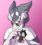  2018 4_fingers anthro biped black_fur blue_eyes bust_portrait candy cel_shading cheek_tuft chocolate claws close-up clothed clothing countershading digital_drawing_(artwork) digital_media_(artwork) duo eating eyes_closed food front_view fur gradient_background grey_fur kel looking_at_partner male mammal mane markings micro open_mouth pawpads paws pink_background pocket pocket_sergal portrait red_markings rubbing_head sergal shirt simple_background slit_pupils smile snout stupidshepherd t-shirt tan_fur tuft vilous_universe white_topwear xayr yellow_markings 