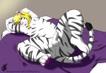  anthro balls deathlyfurry erection feline girly looking_at_viewer male mammal nipples nyland overweight overweight_male paws penis solo tiger uncut white_tiger 