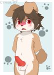  absurd_res animal_genitalia animal_penis anthro balls blush brown_fur brown_hair canine canine_penis child clothing cub cynxie_(artist) dog erection fur hair hands_behind_back hi_res looking_at_viewer male mammal marble_(cynxie) nude open_mouth penis red_eyes solo underwear young 