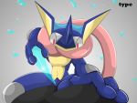  2015 english_text greninja nintendo pok&eacute;mon pok&eacute;mon_(species) solo text type video_games 