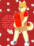 2018 absurd_res anthro biped black_eyes black_nose brown_fur canine child chinese_new_year clothed clothing cub dog fireworks flower footwear fully_clothed funnybox fur grin hi_res holding_object humor kemono legwear male mammal multicolored_fur plant pun red_background shiba_inu shirt shoes shorts simple_background smile socks solo teeth two_tone_fur visual_pun white_fur year_of_the_dog young 