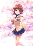  antenna_hair blue_skirt brown_eyes brown_hair cherry_blossoms clannad feet_out_of_frame furukawa_nagisa goto_p highres hikarizaka_private_high_school_uniform kneehighs logo looking_at_viewer petals sailor_collar school_uniform serafuku short_hair skirt solo white_legwear white_sailor_collar 