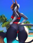  anthro beach bikini bulge butt canine clothing dickgirl intersex jackal mammal outside rear_view seaside smiju solo standing swimsuit thick_thighs wet wide_hips 