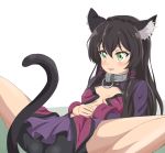  animal_ear_fluff animal_ears bangs bike_shorts black_hair black_shorts blush breasts cat_ears cat_tail collar green_eyes hair_between_eyes isekai_maou_to_shoukan_shoujo_dorei_majutsu long_hair looking_at_viewer lying metal_collar miniskirt on_back parted_lips purple_skirt rem_galeu shorts shorts_under_skirt simple_background skirt small_breasts spread_legs tail trg-_(sain) white_background 