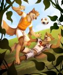  ball brown_fur canine clothed clothing digital_media_(artwork) fur gothwolf jersey male mammal open_mouth soccer soccer_ball sport wolf world_cup 