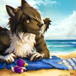  2018 5_fingers anthro beach brown_fur brown_hair canine day digital_media_(artwork) digital_painting_(artwork) fur hair lukiri male mammal outside sand seaside shoreline sky solo water yellow_eyes 