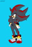  rule_63 shadow_the_hedgehog sonic_team tagme thecon 