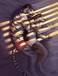  2014 5_fingers anthro barefoot bed canine claws clothed clothing cuddling digital_media_(artwork) duo feline fur hair male male/male mammal on_bed pink_nose sleeping striped_fur striped_tail stripes tiger toe_claws topless trunorth underwear watermark wolf 