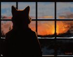 2015 anthro canine clothed clothing digital_media_(artwork) fur mammal signature silhouette solo standing trunorth window 