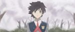  bangs black_hair blue_eyes cherry_blossoms commentary darling_in_the_franxx english_commentary grass highres hiro_(darling_in_the_franxx) looking_at_viewer male_focus military military_uniform necktie nuoki petals red_neckwear solo tree uniform 