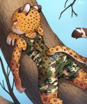  anthro blush bulge butt camo cheetah claws cub feline fishnet fur half-closed_eyes leaning looking_at_viewer looking_back male mammal outside pawpads smile solo standing tree unrealplace yellow_eyes young 