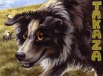  2007 ambiguous_gender black_fur black_nose canine dog english_text feral fur grass kenket mammal multicolored_fur teeth text traditional_media_(artwork) two_tone_fur white_fur yellow_eyes 