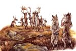  2009 ambiguous_gender anthro canine cervine fur grass group kenket mammal outside pawpads standing traditional_media_(artwork) wolf 