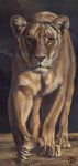  2014 ambiguous_gender feline female feral kenket lion mammal solo toes traditional_media_(artwork) whiskers yellow_eyes 