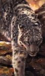  2016 ambiguous_gender feline feral fur kenket leopard mammal pink_nose solo spots spotted_fur traditional_media_(artwork) whiskers 