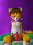  anthro black_nose blush briefs brown_eyes brown_hair bulge canine child clothing cub erection fox fur hair katxfish male mammal orange_fur precum sitting solo underwear white_fur young 