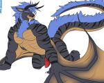  all_fours anthro beard black_nose blue_hair dragon erection facial_hair feline hair knot male mammal muscular muscular_male nude penis red_eyes simple_background solo watermark weskers white_background wings 