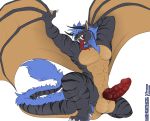  animal_genitalia animal_penis anthro balls beard big_balls big_penis blue_hair dragon erection facial_hair feline hair knot male mammal muscular muscular_male nude open_mouth penis red_eyes simple_background solo tongue tongue_out watermark weskers white_background wings 