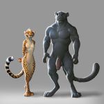 2016 abs adam_wan anthro balls barely_visible_genitalia big_penis black_balls black_fur breasts brown_eyes cheetah duo feline female fur grey_background half-erect humanoid_hands humanoid_penis larger_male looking_at_another male mammal muscular muscular_male navel nipples nude panther paws penis simple_background size_difference small_breasts smaller_female spots spotted_fur standing subtle_pussy tan_fur yellow_fur 