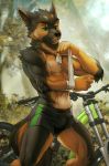  2018 abs absurd_res anthro biceps bicycle black_fur brown_fur bulge bush_(disambiguation) canine clothed clothing digital_media_(artwork) dog fur green_iris hi_res iskra magarnon magarnon_(character) male mammal multicolored_fur muscular nature nipples outside pecs scar shorts topless tree two_tone_fur wraps wrist_wraps 