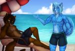  anthro beach canine clothed clothing duo lying male mammal navel on_back outside seaside shariea smile standing swimming_trunks swimsuit topless 