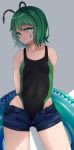  haiiro_gundan swimsuits tagme touhou wriggle_nightbug 