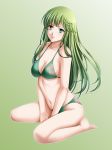  absurdres bikini breasts cleavage closed_mouth commentary_request fire_emblem fire_emblem:_monshou_no_nazo green_background green_bikini green_eyes green_hair highres long_hair medium_breasts navel paola simple_background sitting solo swimsuit tamamon 