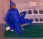  animal_genitalia anthro avian beak bird blue_fur boots cloaca clothing digital_media_(artwork) dumbbell exercise faclo_lombardi falco_lombardi falcon feathers footwear fur gym inside looking_at_viewer male nintendo nude solo star_fox towel video_games weightlifting weights wings workout 