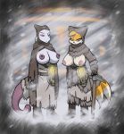  2018 anthro areola big_breasts breasts canine clothed clothing crossgender digital_media_(artwork) duo ethanqix female fox frostpunk fur hair legendary_pok&eacute;mon looking_at_viewer mammal mewtwo miles_prower nintendo nipples outside pok&eacute;mon pok&eacute;mon_(species) snow sonic_(series) video_games 