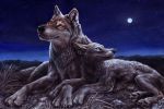  2005 black_nose canine claws coyote duo feral full_moon grass kenket mammal moon night pawpads sky star starry_sky toe_claws traditional_media_(artwork) wolf 
