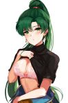  blush breasts commentary fire_emblem fire_emblem:_rekka_no_ken fire_emblem_heroes gloves green_eyes green_hair high_ponytail highres large_breasts long_hair looking_at_viewer lyndis_(fire_emblem) ormille ponytail simple_background smile solo very_long_hair 