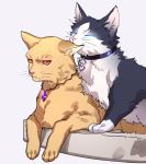  animal animal_ear_fluff animal_focus animalization biting black_eyes cat cat_focus closed_eyes closed_mouth clothed_animal collar commentary_request ear_biting ears_down ears_up fate/grand_order fate_(series) frown fujimaru_ritsuka_(male) gem gilgamesh gilgamesh_(caster)_(fate) glowing glowing_eyes half-closed_eyes highres jewelry jitome looking_away lying male_focus multiple_boys necklace no_humans on_stomach orange_fur orange_sclera paws pendant pet_collar slit_pupils tenobe two-tone_fur unamused upper_body whiskers 
